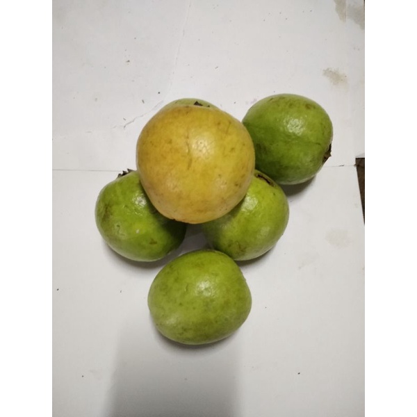 

Jambu Biji/Buah Jambu Biji/Buah Segar/Buah Murah/Jakarta/500gr