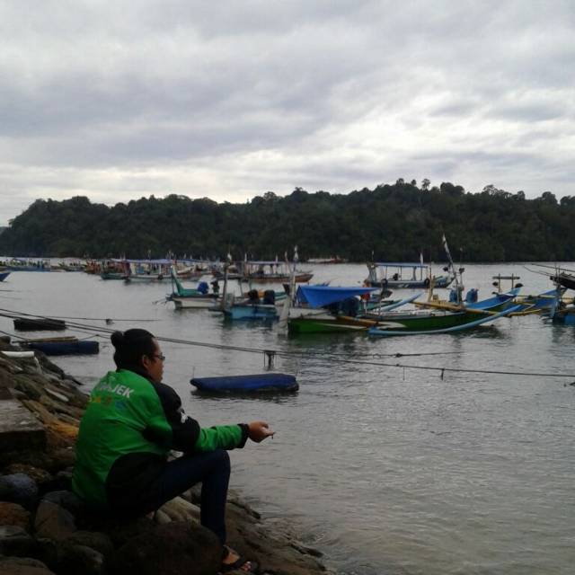 sandraputra10