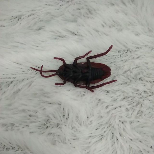 Simulasi Kecoa Palsu Bahan Karet