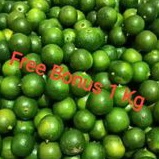 

Jeruk Sonkit | Jeruk Kunci | Sonkit Pontianak 1 kg + Gratis Bonus