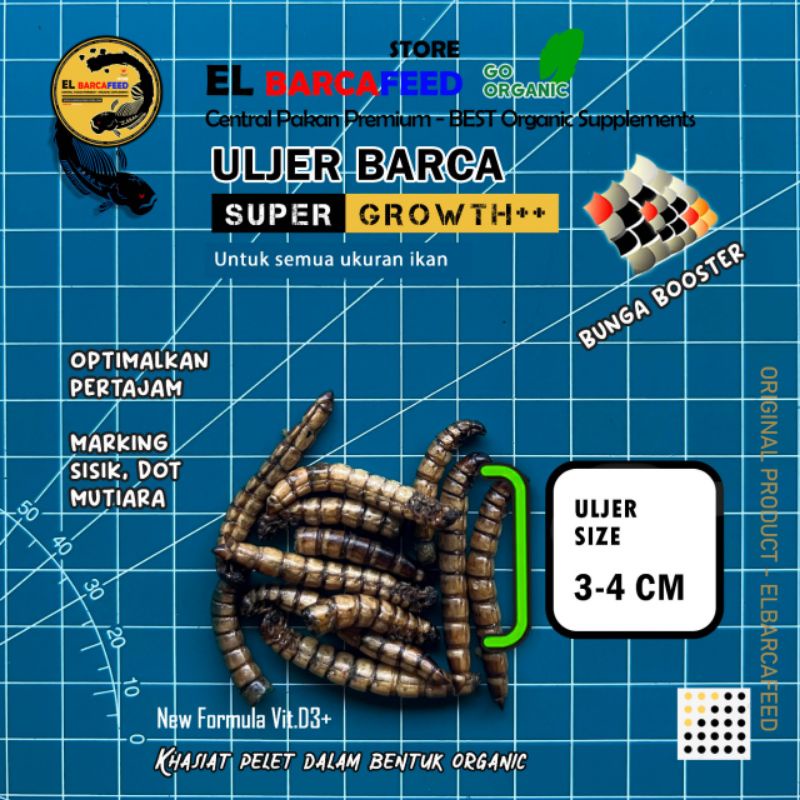 ULJER BARCA Ulat Jerman El BARCAFEED Hi Growth Super Booster 40 Gram