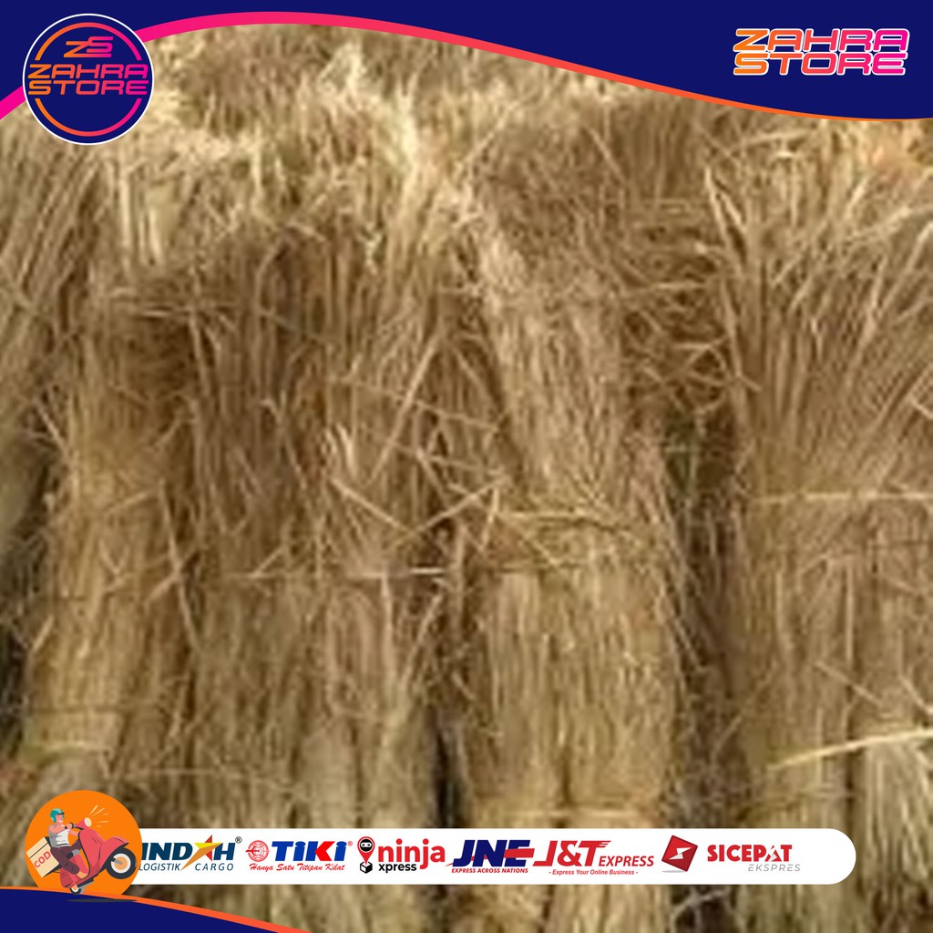 

Jerami Padi Kering untuk alas sarang dekorasi dl