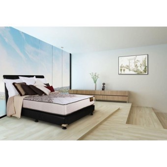 AIRLAND SPRING BED NEW ECO 160X200 (MATTRES ONLY)