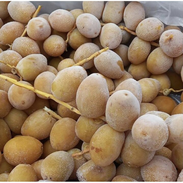 

READY STOCK KURMA MUDA KUNING PROMIL PROGRAM HAMIL SEGAR DAN FRESH JORDAN/MESIR BARHEE NAMIBIA