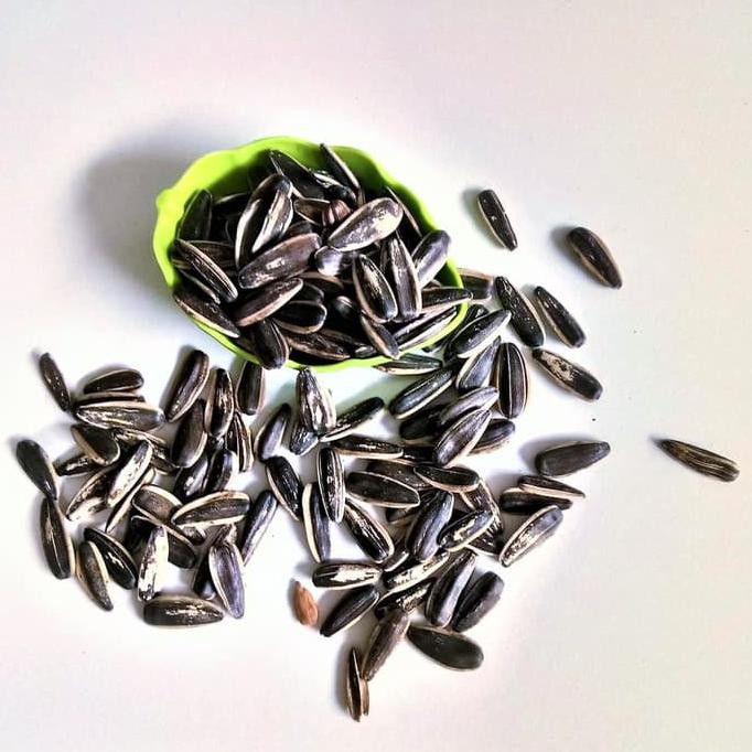 

Kuaci Rebo 2Kg/Kwaci Biji Bunga Matahari /Rebo Kuaci Original
