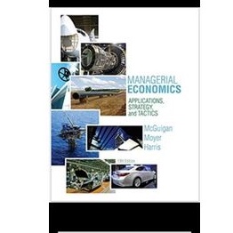 

managerial economics mcguigan