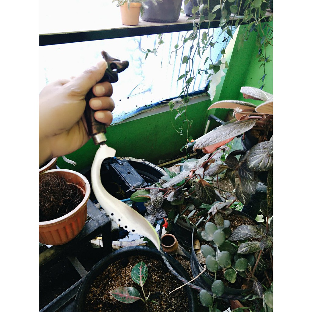 Kujang Tajam Spesial