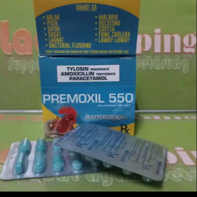 premoxil 550 obat ayam snot vitamin burung pilek spt amtyl