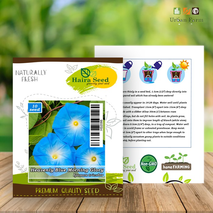 Benih-Bibit Bunga Morning Glory Heavenly Blue (Haira Seed)
