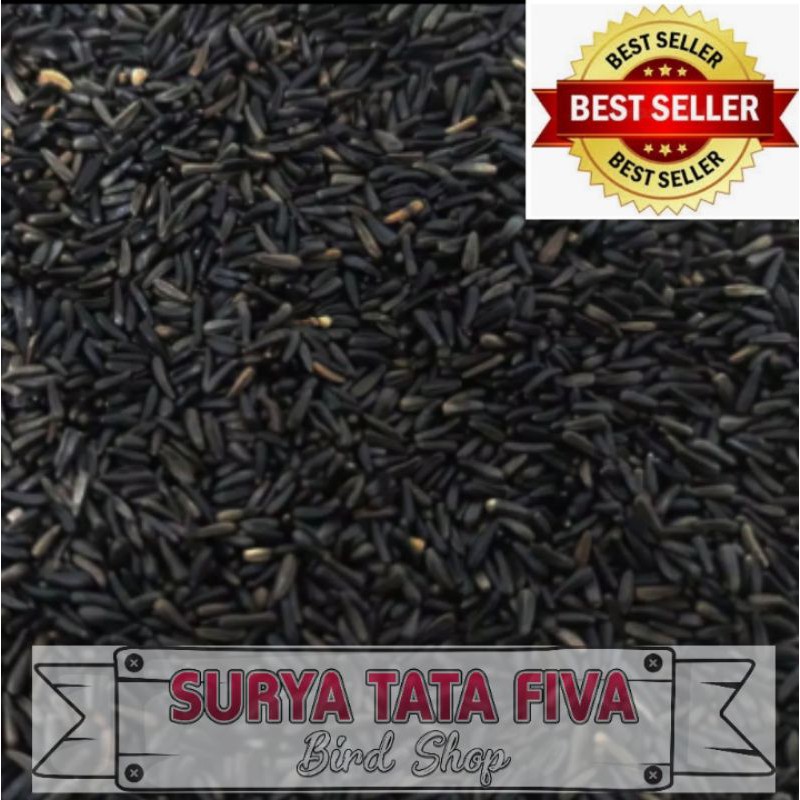 Niger Seed 100gram pakan burung red siskin kenari love bird blacktroat mozambik finsh