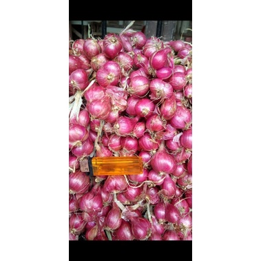 

bawang merah super