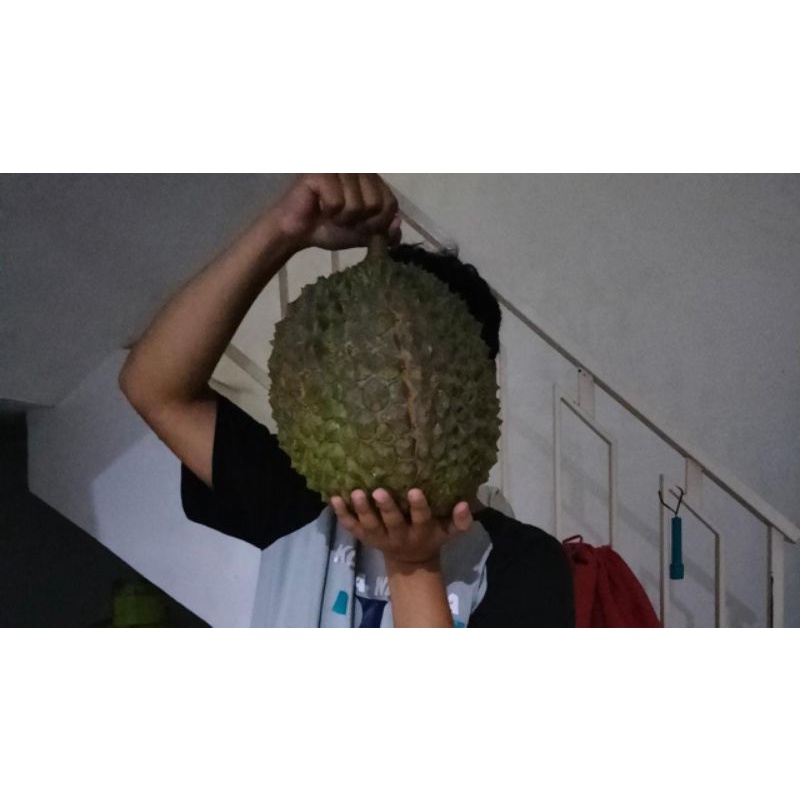 

Duren Bower Oren