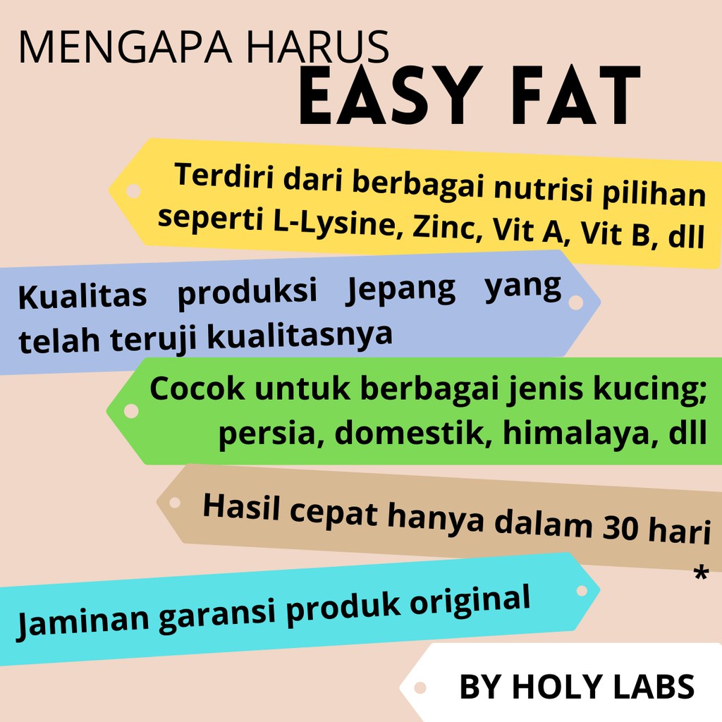 EASY FAT VITAMIN KUCING TERBAIK OBAT KUCING KURUS KUCING PERSIA KUCING ANGORA ANGGORA