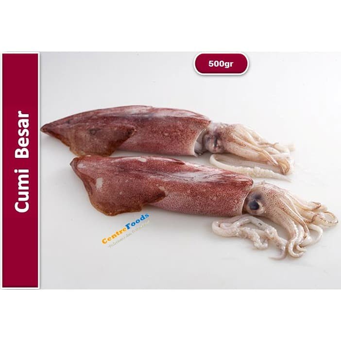 

Cumi Besar Fresh - Sotong Fresh | 500gr [ Harga Per 0,5 Kg ]