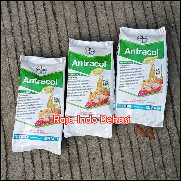 Fungisida Antracol 70 Wp 250 Gram Gr Obat Tanaman Jamur Untuk Anggrek Dan Tanaman Lain | Bukan Pupuk