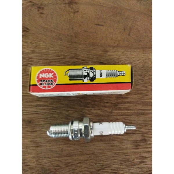 busi motor tiger gl ngk