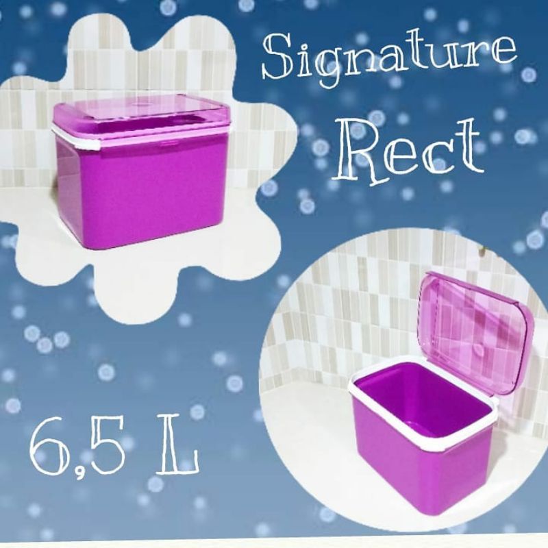 " Signature Rect 6,5 L "