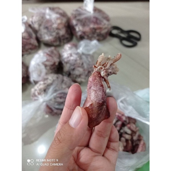 

Baby Cumi Asin Menul