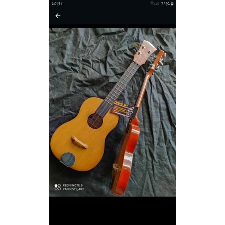 cuk akustik elektrik pasif cuk saja bujan set cak cuk