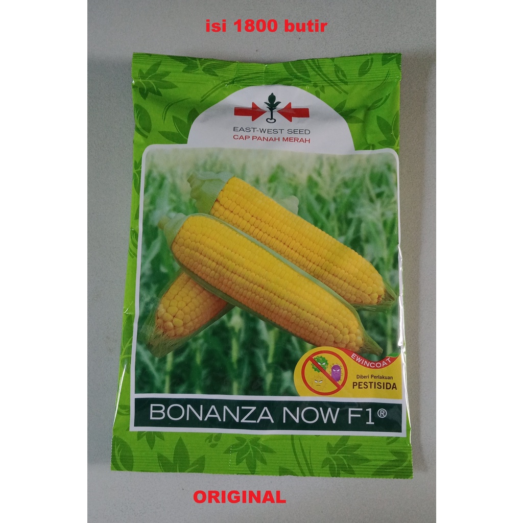 Benih Jagung Manis Bonanza Now F1 Kaleng / Pack  isi 1800 btr Panah Merah