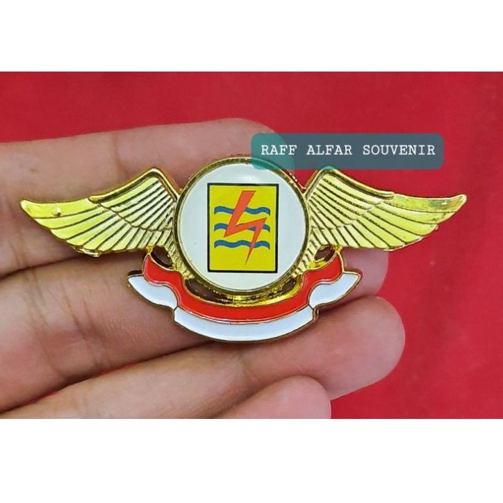 Pin PLN model wing