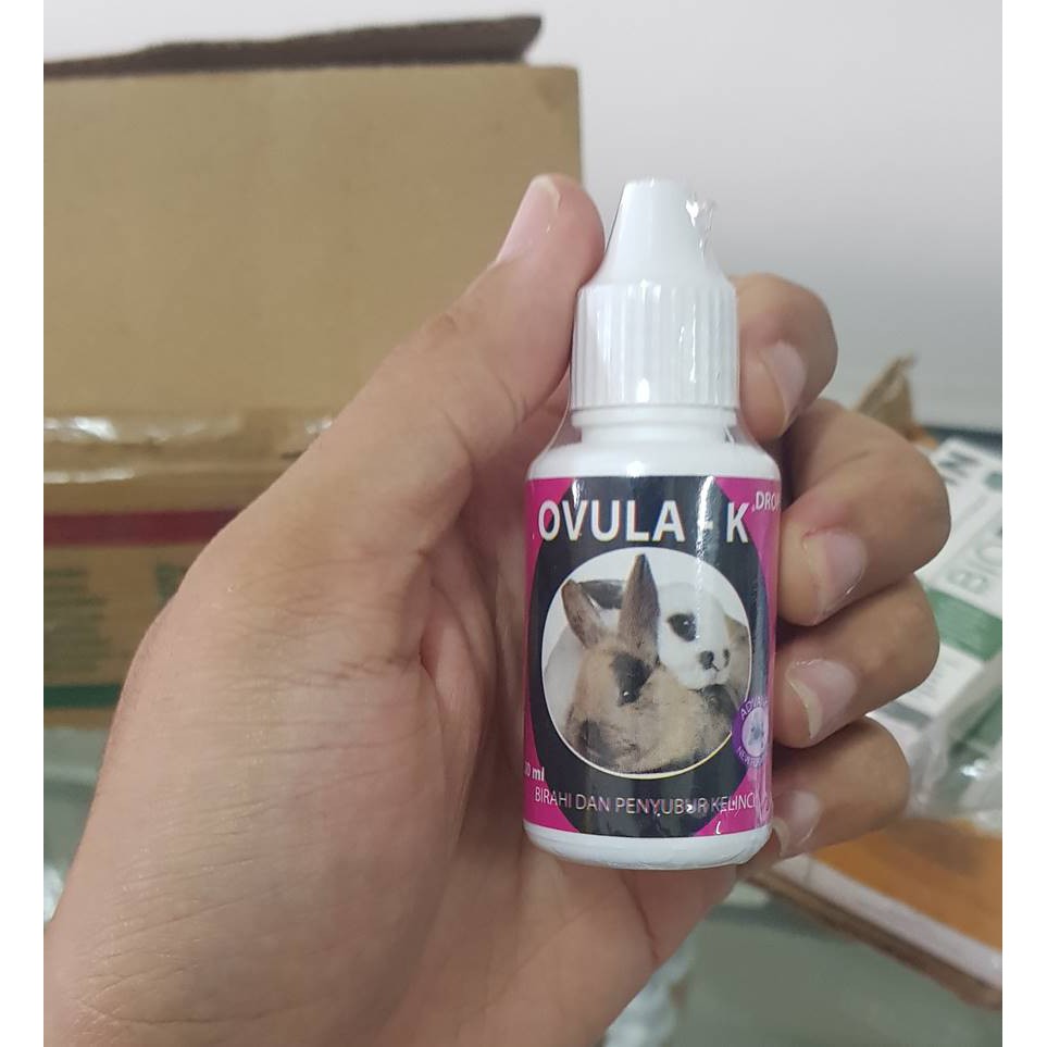 Ovula-k 30ml Kelinci