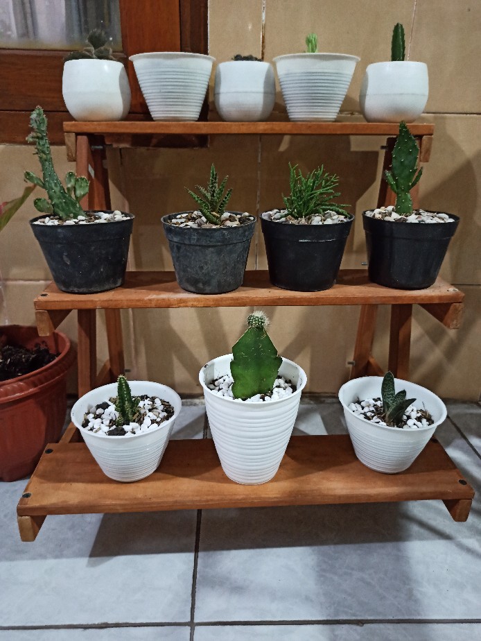 Pot Honey 10 Gbl Pot Tawon 10 Pot Madu 10 Putih