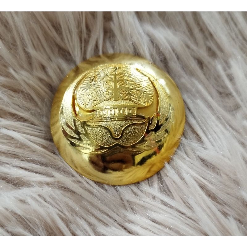 pin korpri cembung magnet/pin korpri magnet/pin korpri cembung terbaru