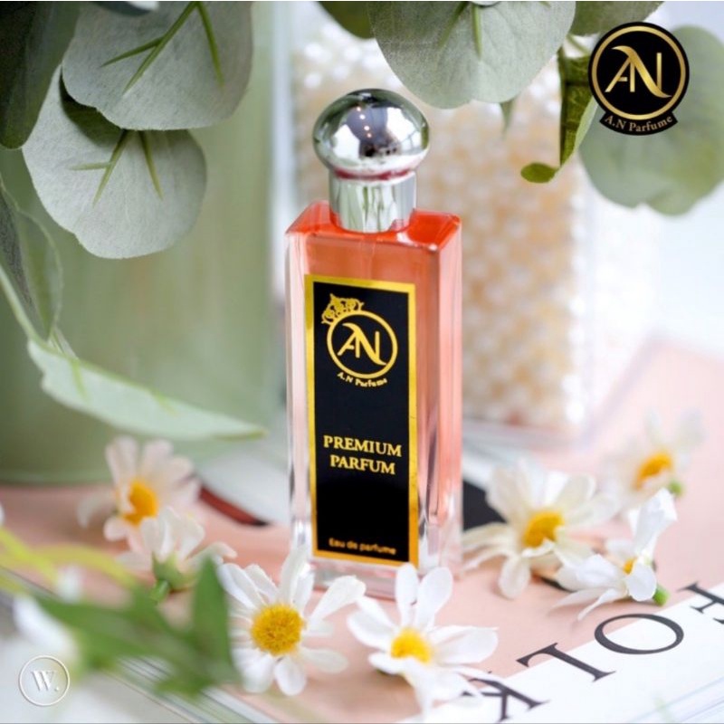 READY  AN PARFUME VICTORIA SCANDALOUS BY ANITA TLB