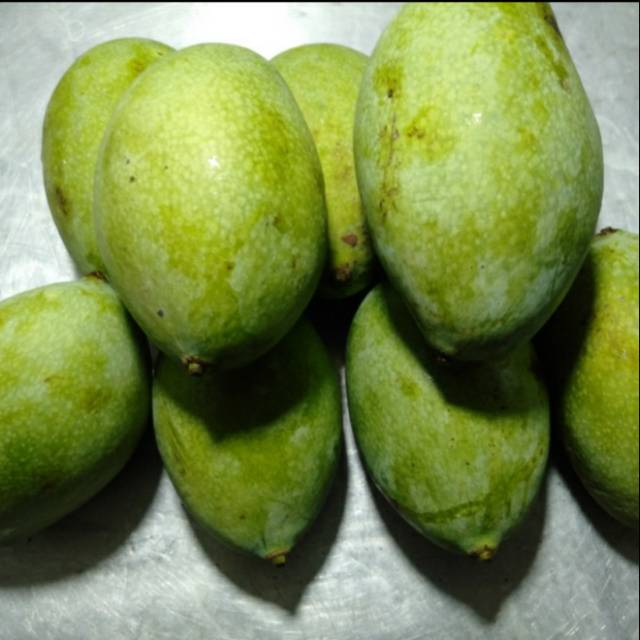 

Mangga Manalagi Madu 1 kg