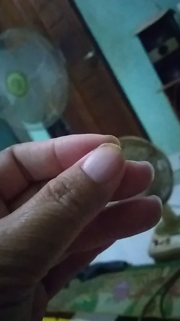 Face Shield Anti Debu Dengan Frame Warna Putih Pink Transparan Sebagai Penyangga | Rumify