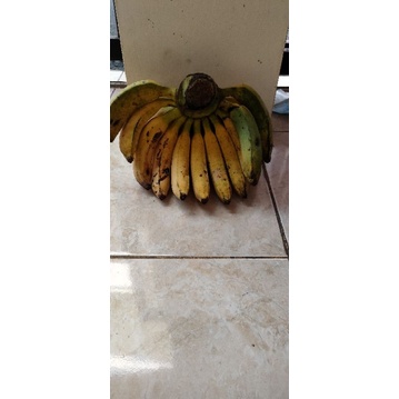 

Pisang Raja Bulu