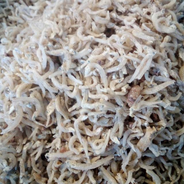 

Ikan teri