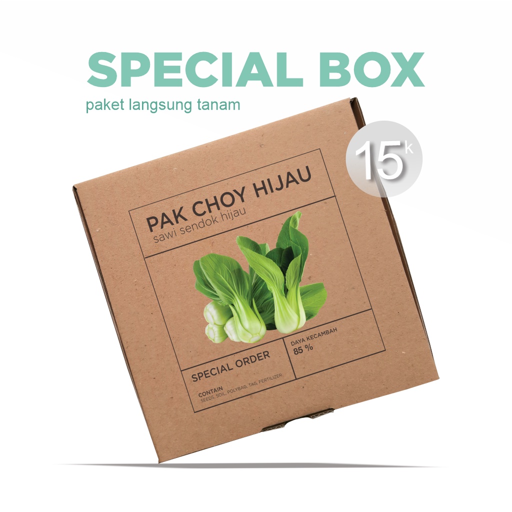 Paket Langsung Tanam - Gardening Kit - SPECIAL BOX - Benih Pak Choi Hijau Sawi Sendok Bok Choy Pakcoy Seeds