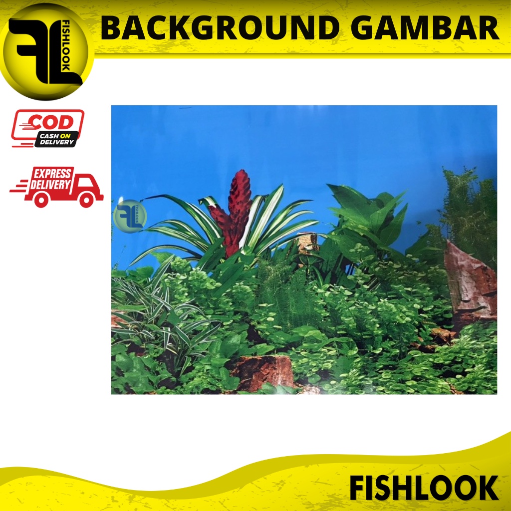 Background Gambar Latar Akuarium 40 - 60 CM Aquascape Hiasan PERMETER