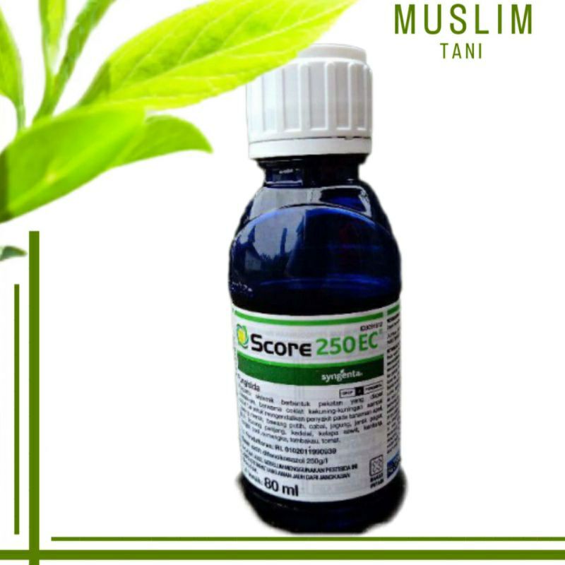SCORE 80ML