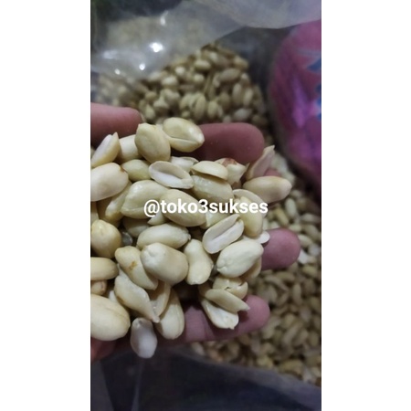 

kacang brol kacang kupas