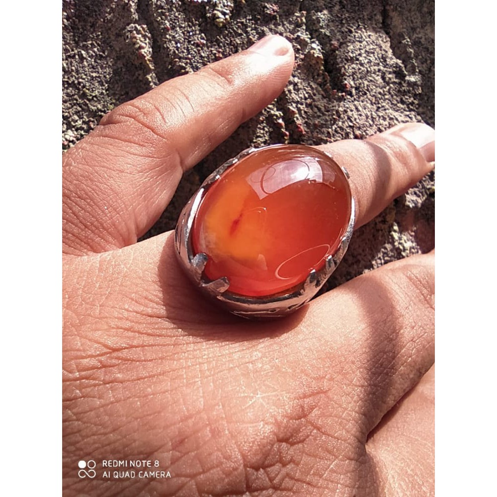 Cempaka madu combong, Aceh natural, combong, big size