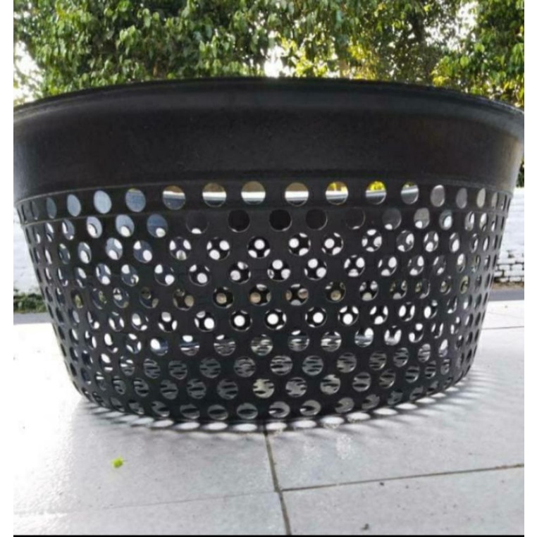 Ember Sortir Ikan Lele,Bak Sortir Bibit Ikan Lele,Ember Sortir  Bibit ikan Dan Ikan komsumsi