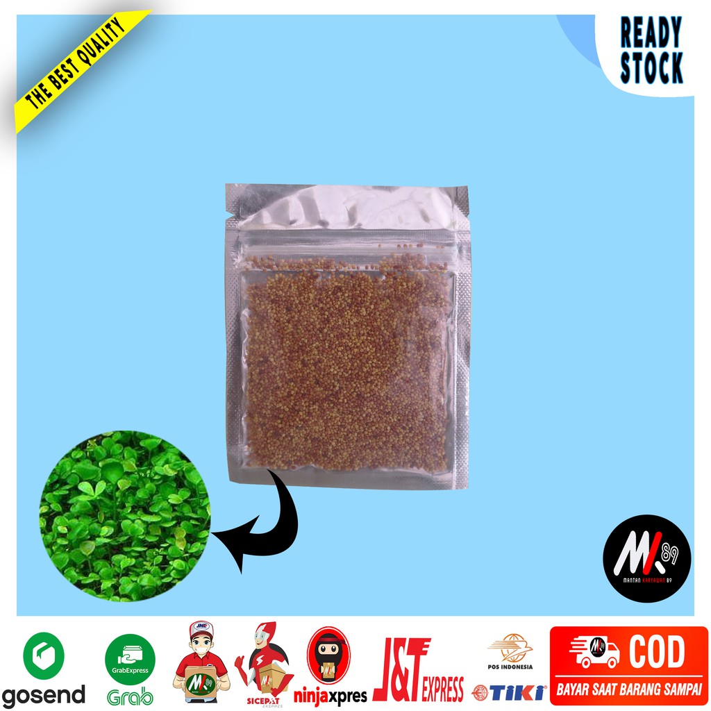 Bibit Carpet Seed Aquascape 10  Gram Tanpa CO2 Jenis Love Grass Berkualitas COD | Benih | Magic Seed