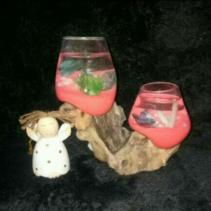 AQUARIUM AKAR KAYU TINGKAT DOUBLE 10CM