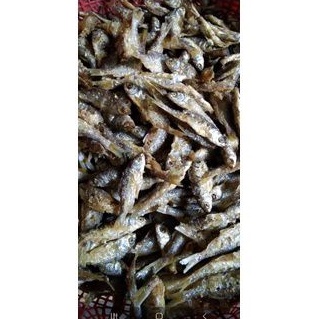 

ikan bilih