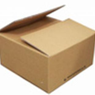 

Kardus Untuk Packing|Pengaman Paket L Dus Untuk Packing Tokocamelya