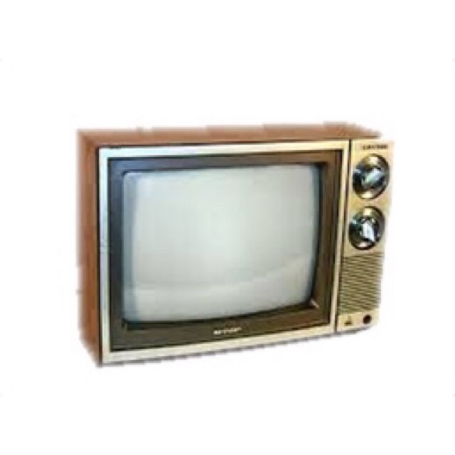 FLYBACK TV HITAM PUTIH