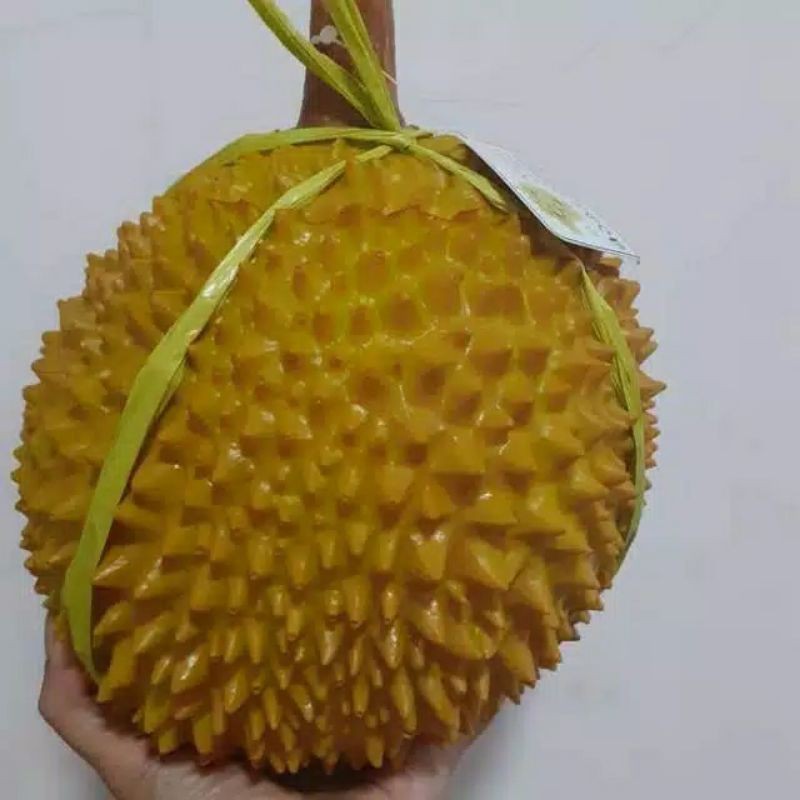 

Buah Durian Karet Buah Durian Palsu Artificial Pajangan Display Meja Hiasan Tiruan Dummy Replika Oke