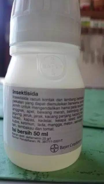 Decis Insektisida pembasmi Kutu Kebul - 50ml / DECIS 25 EC 50 ML PESTISIDA OBAT PEMBASMI HAMA