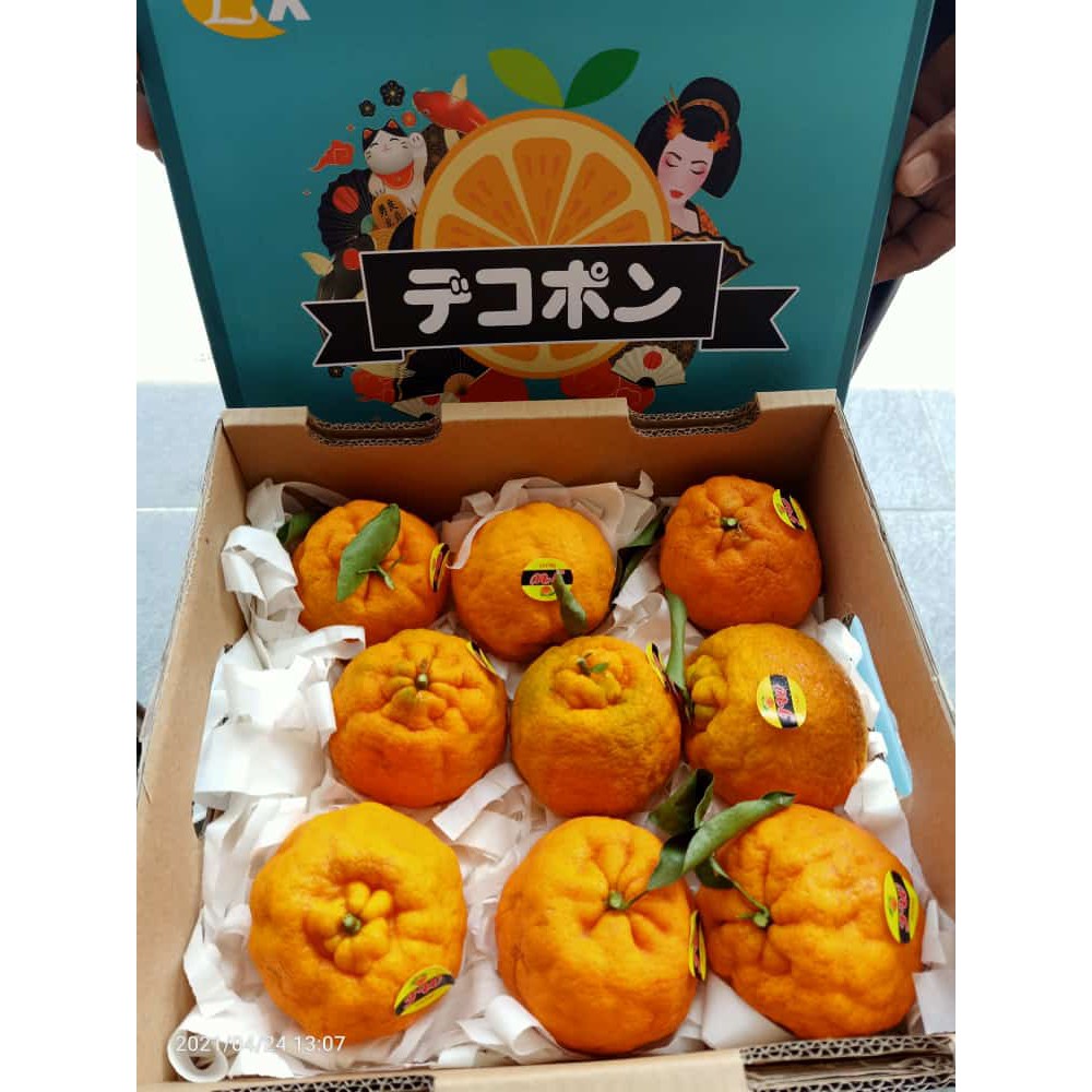

FRESH JERUK DEKOPON CHINA MANIS BNYAK AIR SEGAR BESAR ( PERDUS ) 2 KG
