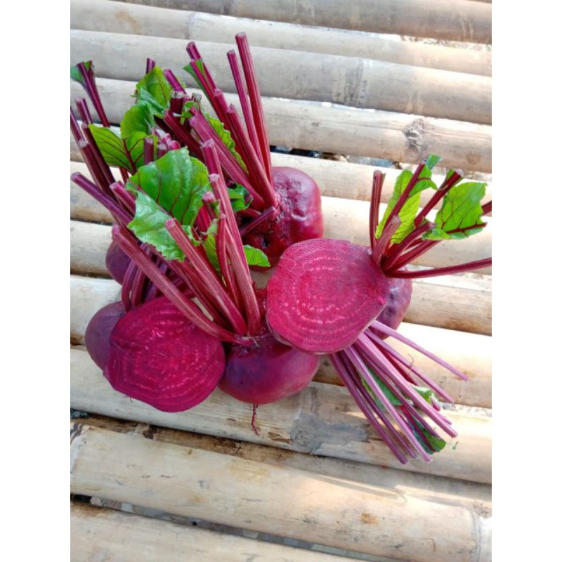 

Buah Bit / Beetroot 1 Kg Fresh Langsung Dari Kebun / bit murah / bit merah