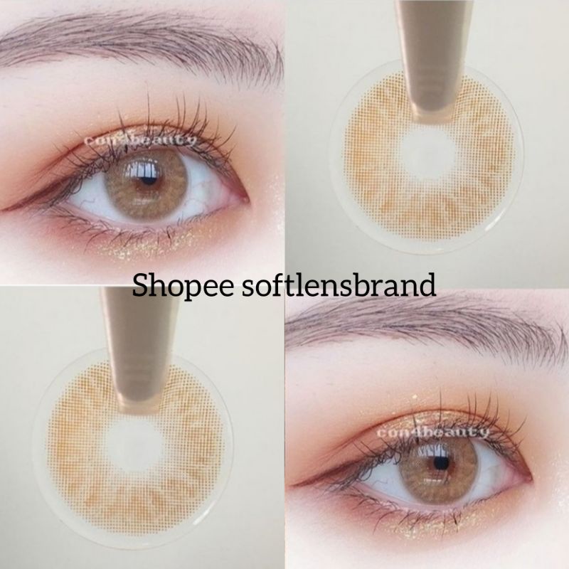 SOFTLENS SPATAX SOFTLENS BROWN SOFTLENS GREY GRAY NATURAL