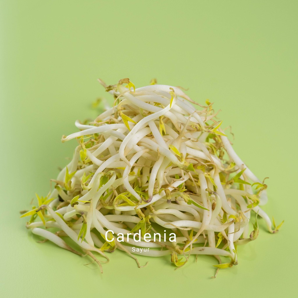 

Tauge, bumbu masak , peralatan masak, bahan masakan, sayur segar